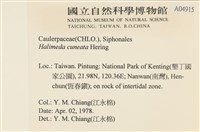 登錄號:A00004915藏品圖，第2張