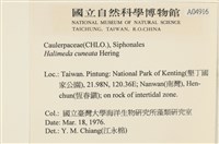 登錄號:A00004916藏品圖，第2張