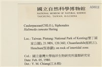 登錄號:A00004918藏品圖，第2張