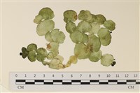 登錄號:A00004918藏品圖，第1張