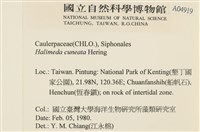 登錄號:A00004919藏品圖，第2張