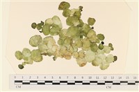 登錄號:A00004919藏品圖，第1張