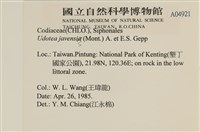 登錄號:A00004921藏品圖，第2張