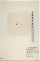 登錄號:A00004921藏品圖，第3張