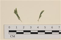 登錄號:A00004921藏品圖，第1張