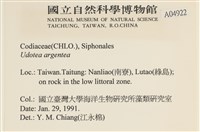 登錄號:A00004922藏品圖，第2張