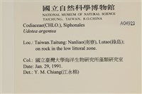 登錄號:A00004923藏品圖，第2張