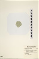 登錄號:A00004923藏品圖，第3張