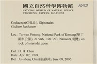 登錄號:A00004924藏品圖，第2張