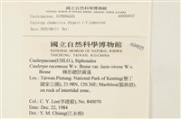 登錄號:A00004925藏品圖，第2張