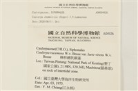 登錄號:A00004926藏品圖，第2張