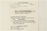 登錄號:A00004927藏品圖，第2張