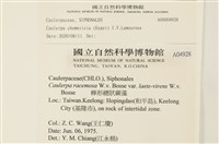 登錄號:A00004928藏品圖，第2張