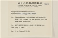 登錄號:A00004930藏品圖，第2張