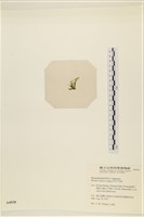 登錄號:A00004930藏品圖，第3張