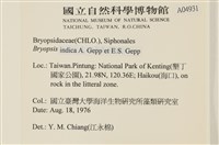 登錄號:A00004931藏品圖，第2張