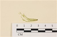 登錄號:A00004931藏品圖，第1張