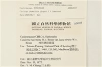 登錄號:A00004935藏品圖，第2張