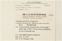 登錄號:A00004939藏品圖，第2張