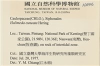 登錄號:A00004946藏品圖，第2張