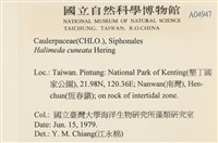 登錄號:A00004947藏品圖，第2張