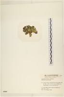 登錄號:A00004947藏品圖，第3張