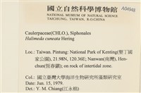登錄號:A00004948藏品圖，第2張