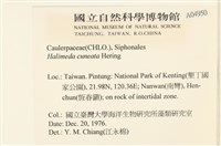 登錄號:A00004950藏品圖，第2張