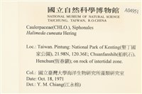 登錄號:A00004951藏品圖，第2張