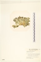 登錄號:A00004951藏品圖，第3張