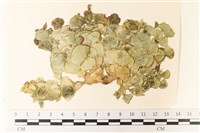 登錄號:A00004951藏品圖，第1張