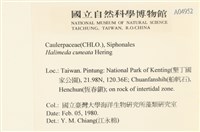 登錄號:A00004952藏品圖，第2張