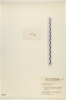 登錄號:A00004956藏品圖，第3張