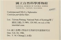 登錄號:A00004957藏品圖，第2張