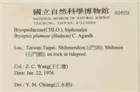 登錄號:A00004958藏品圖，第2張