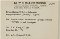 登錄號:A00004959藏品圖，第2張