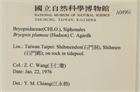 登錄號:A00004961藏品圖，第2張