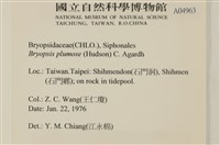 登錄號:A00004963藏品圖，第2張