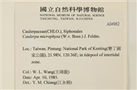 登錄號:A00004982藏品圖，第2張