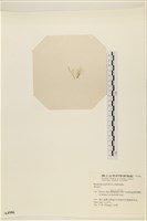 登錄號:A00004986藏品圖，第3張