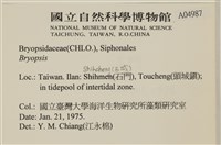 登錄號:A00004987藏品圖，第2張