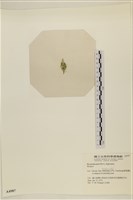 登錄號:A00004987藏品圖，第3張