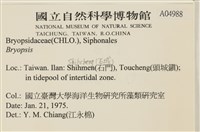 登錄號:A00004988藏品圖，第2張