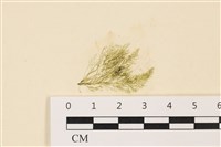 登錄號:A00004988藏品圖，第1張