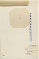 登錄號:A00004989藏品圖，第4張