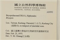 登錄號:A00004992藏品圖，第2張