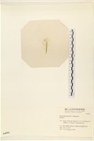 登錄號:A00004992藏品圖，第3張