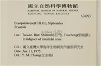 登錄號:A00004993藏品圖，第2張