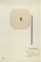 登錄號:A00004993藏品圖，第3張