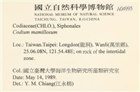 登錄號:A00004995藏品圖，第2張